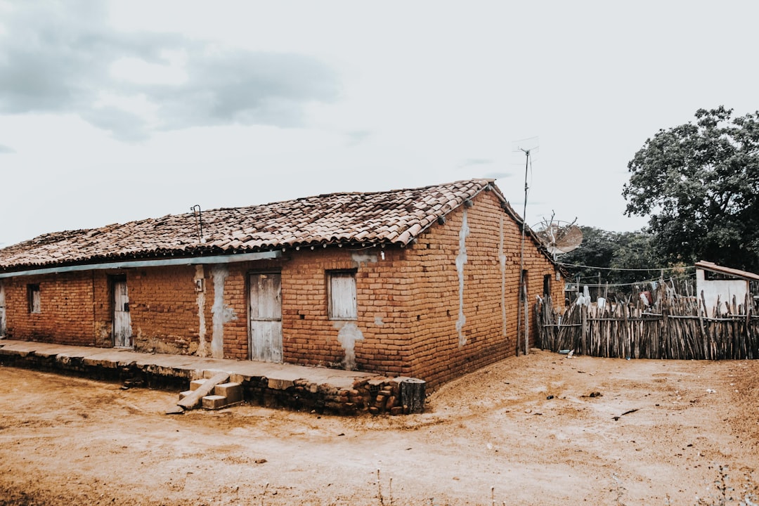 From Wooden Satellites to Robot Dogs: 3 Tech Breakthroughs of 2026