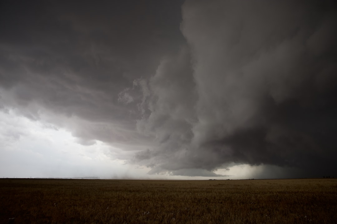 Heavy Rain Warning in Korea: Warm Yellow Sea Fuels Intense Storms